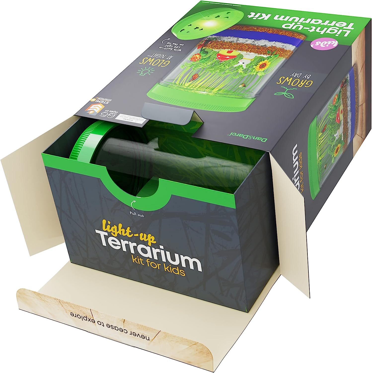 Light-Up Terrarium Kit