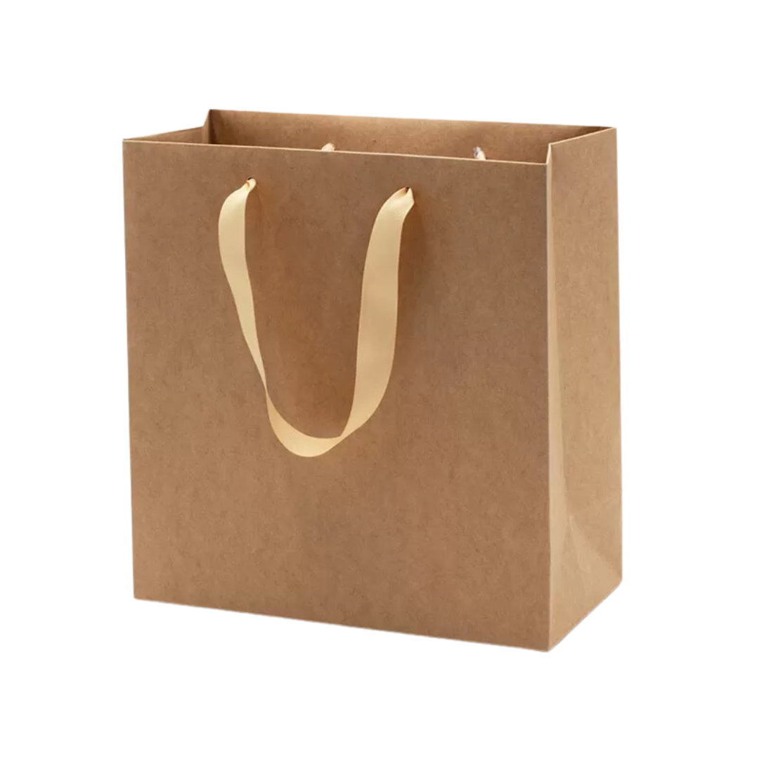 Paper Gift Bag