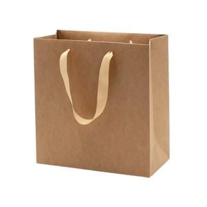 Paper Gift Bag