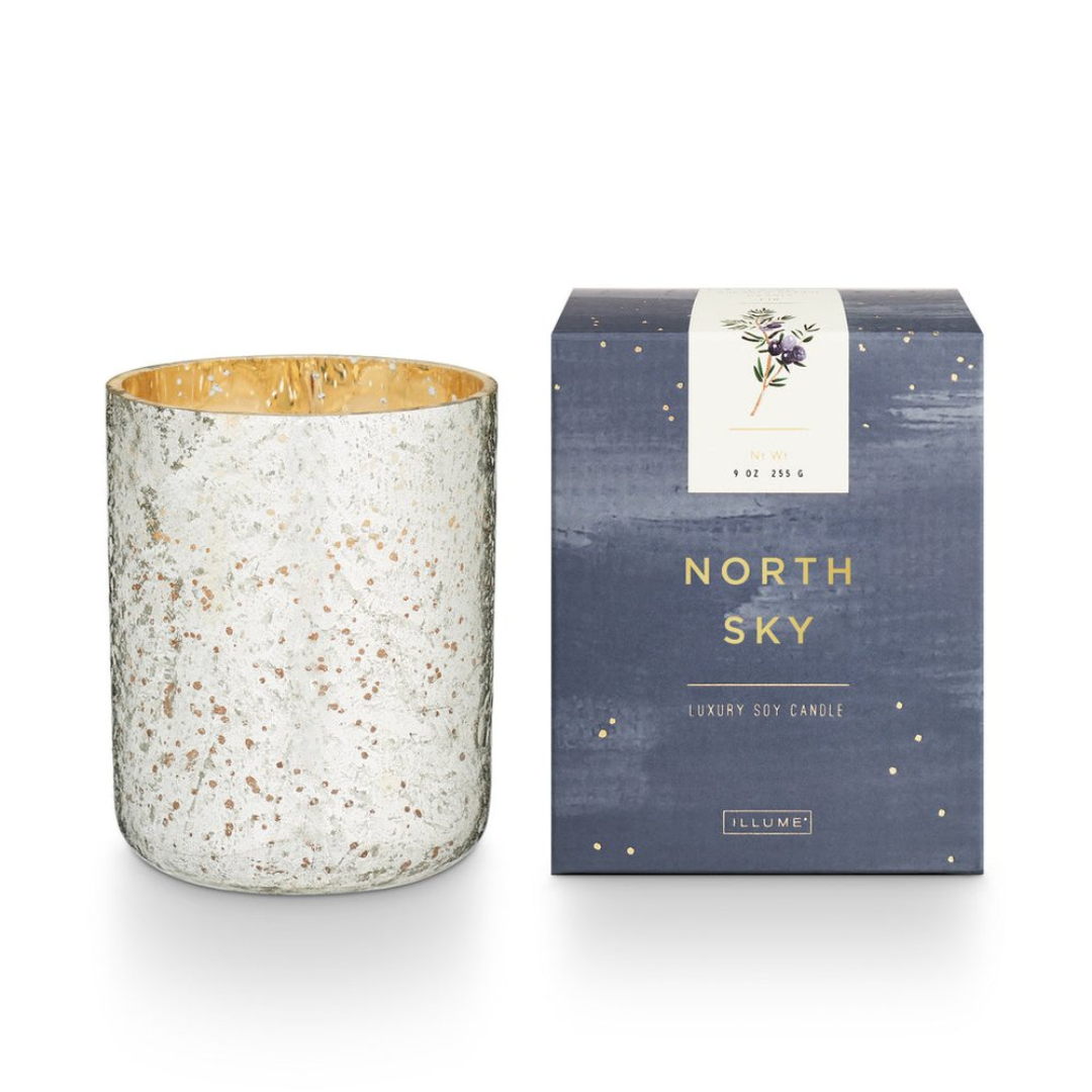 Illume North Sky Small Luxe Candle 9oz