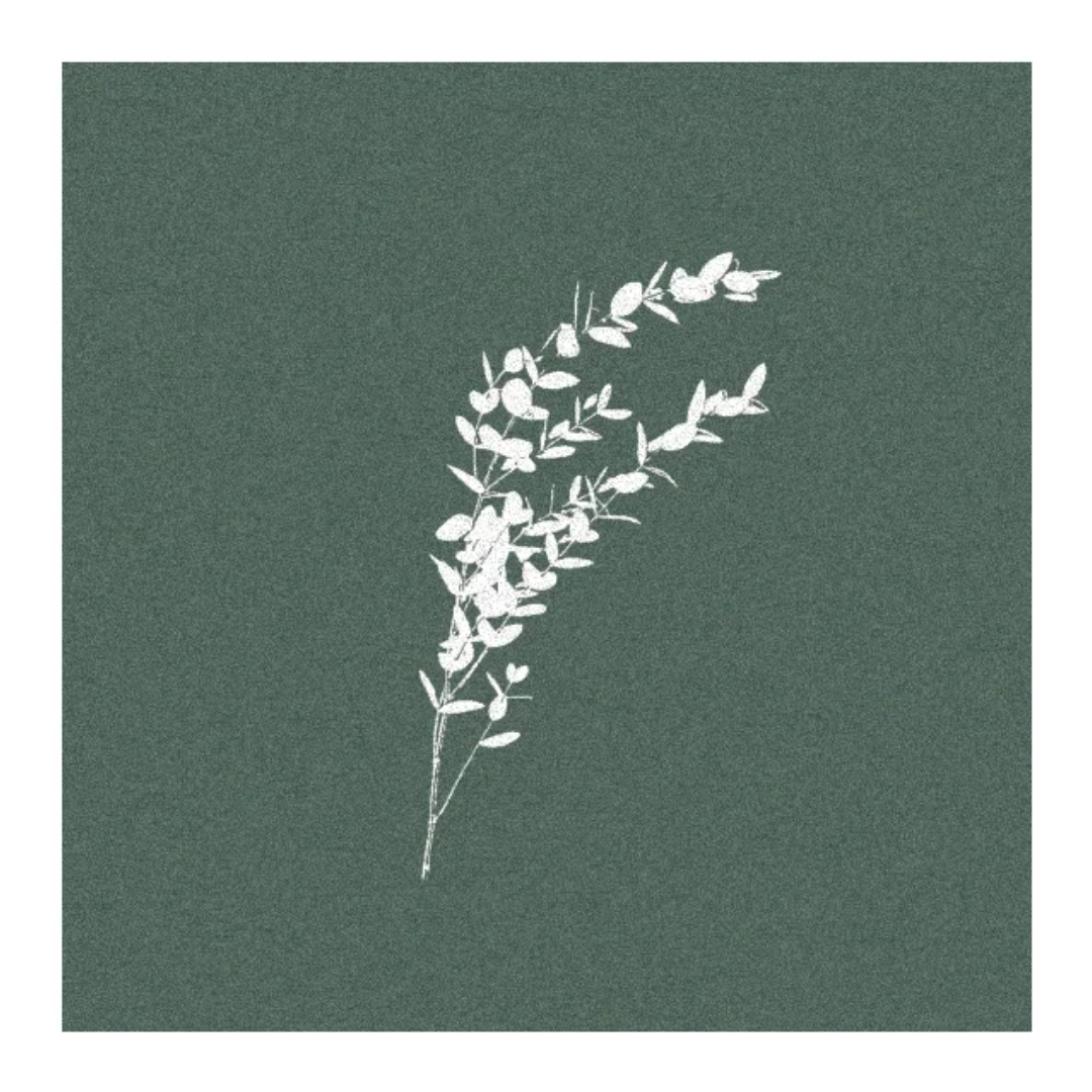 Eucalyptus Cinera - Paviot Dinner Napkin